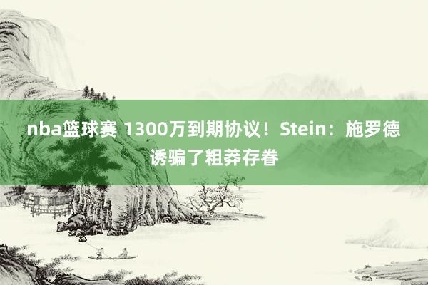 nba篮球赛 1300万到期协议！Stein：施罗德诱骗了粗莽存眷