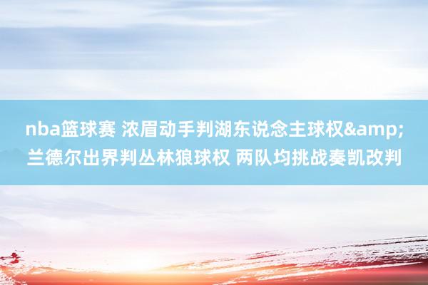 nba篮球赛 浓眉动手判湖东说念主球权&兰德尔出界判丛林狼球权 两队均挑战奏凯改判