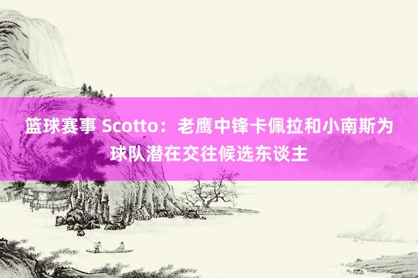 篮球赛事 Scotto：老鹰中锋卡佩拉和小南斯为球队潜在交往候选东谈主